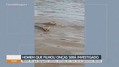 JA 1ª Edição | Homem que filmou onças em rio em Goiás deve ser investigado pelo Ibama | Globoplay