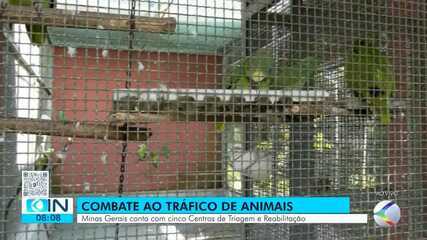 Conheça o Centro de Triagem e Reabilitação de Animais Silvestres em Divinópolis Conheça o Centro de Triagem e Reabilitação de Animais Silvestres em Divinópolis